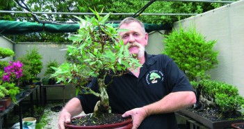 The Bonsai Warrior