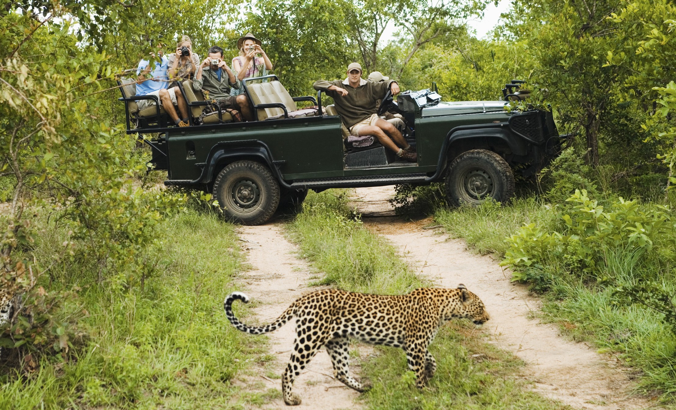 Kruger National Park ManSpace Magazine kruger-national-park-manspace-magazine