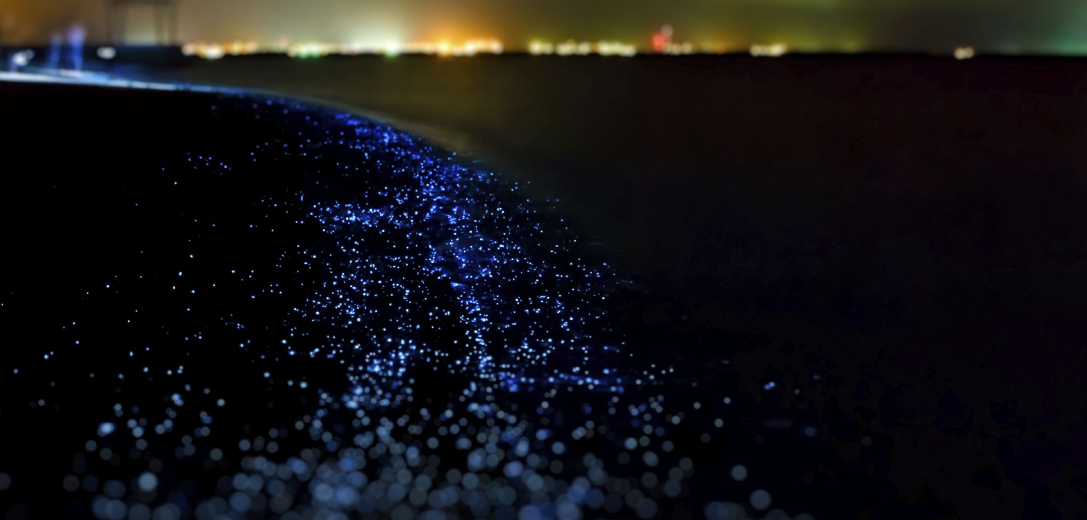sea of stars beach location sea of stars beach location