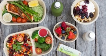 In review: Pre-made meal delivery services