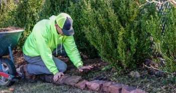 5 spring gardening mistakes