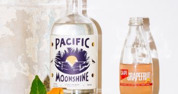 Let the moon, shine on me for World Moonshine Day