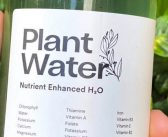 PlantWater: shaking up the hydration game