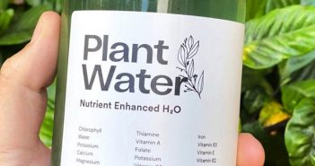 PlantWater: shaking up the hydration game